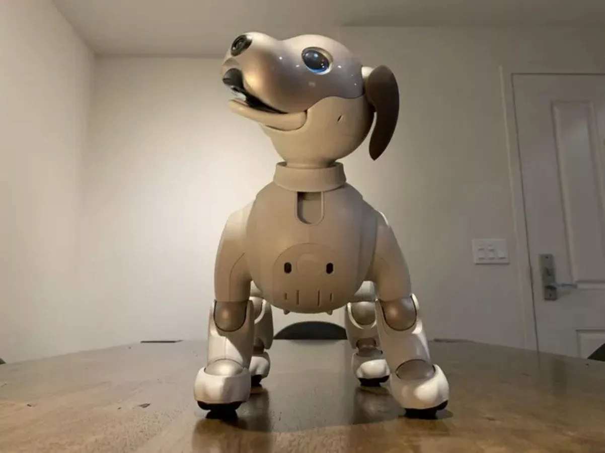 CES 2024